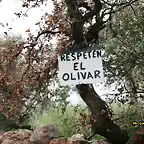01, respeten el olivar, marca