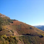 DSCN0888