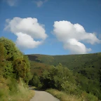 DSCN4290