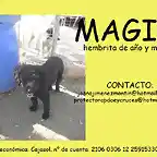 MAGIA Sevilla