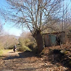 DSCN2593