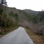 DSCN4966