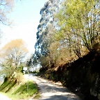 DSCN4936