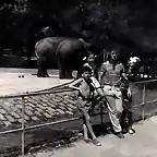 zooBCN1970 copia