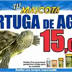 tortuga agua