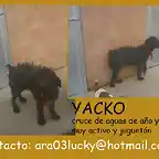 YACKO Crdoba