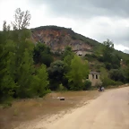 DSCN6156