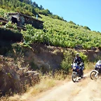 DSCN4147