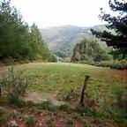 DSCN8478