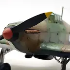 SDC39346