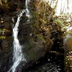 DSCN7885