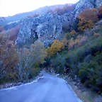 DSCN6961