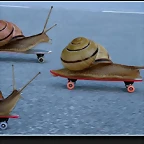 foto caragols patinant