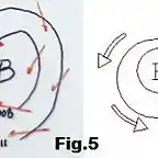 Fig.5