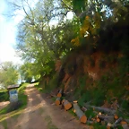 DSCN4877