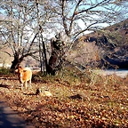 DSCN6749