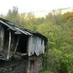 DSCN6100