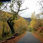 DSCN2908