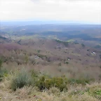 16-IMG_4692