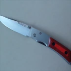 SAM_1923