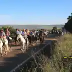 caballos por la carretera, marca