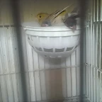 IMAG0587
