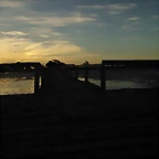 WP_000166