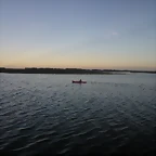 WP_000172