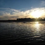 WP_000169