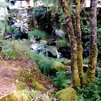 DSCN8424