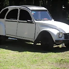 SDC13749