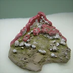 DSCN2194