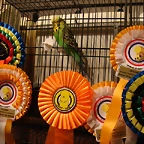 concurso Naquera 014