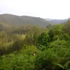 reglaje 017