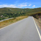 91-IMG_2501