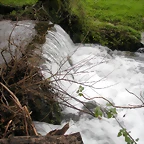 DSCN0997