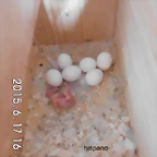 CIMG1227