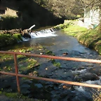 DSCN2339