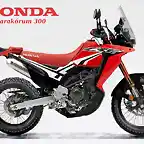 CRF300 Karak?rum