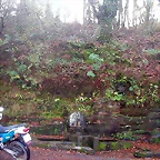 DSCN4683