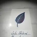 sailor_shikiori-yamadori