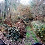DSCN0727
