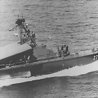 komar (6)