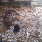 IMAG0040