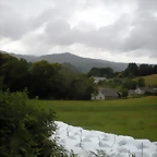 DSCN4720