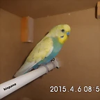 CIMG0954