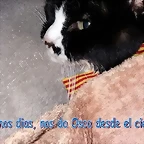 BUENOS DIAS DESDE EL CIELO, NO DA OSCA