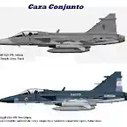 gripen conjunto