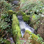 DSCN5761