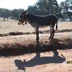 20, tomando el sol, marca